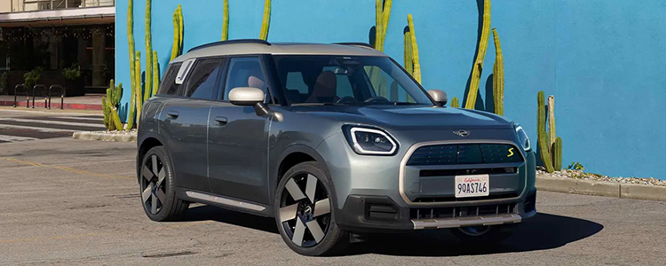 Mini Countryman