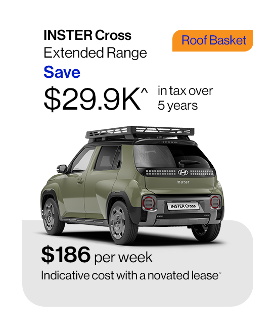 Inster Roof Basket